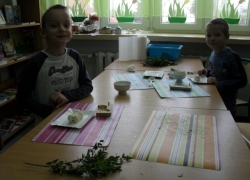 nowe zdjęcie