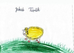 nowe zdjęcie