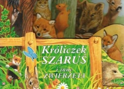 nowe zdjęcie