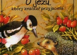 nowe zdjęcie