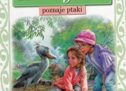 nowe zdjęcie