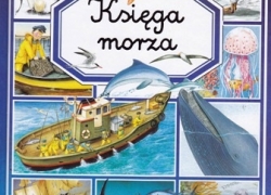 nowe zdjęcie