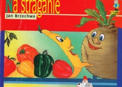 nowe zdjęcie