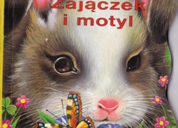nowe zdjęcie
