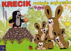 nowe zdjęcie
