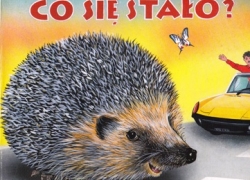 nowe zdjęcie