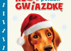 nowe zdjęcie
