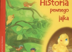 nowe zdjęcie