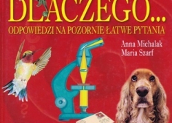 nowe zdjęcie