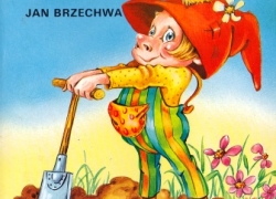 nowe zdjęcie